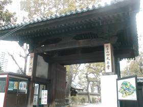 古いお寺ですねー