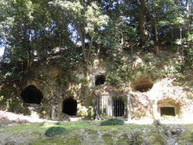 玉手山も安福寺の敷地です。