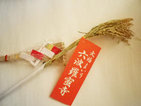 t鉏N͍zƑkł...