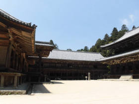 �f��u���X�g�T�����C�v�̃��P�n�ł��ˁ[